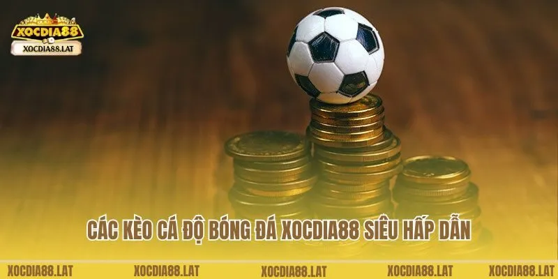 Các kèo cá độ bóng đá Xocdia88 siêu hấp dẫn