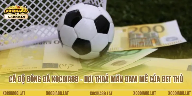 cá độ bóng đá Xocdia88