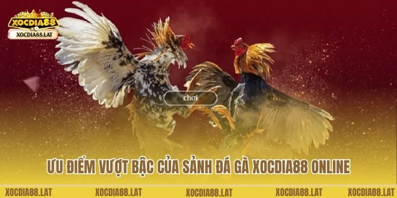 Ưu điểm vượt bậc của sảnh đá gà Xocdia88 online