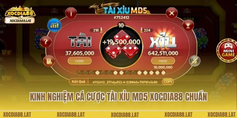 Kinh nghiệm cá cược tài xỉu MD5 Xocdia88 chuẩn