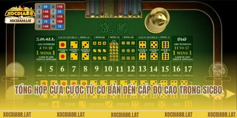 Tổng hợp cửa cược từ cơ bản đến cấp độ cao trong Sicbo